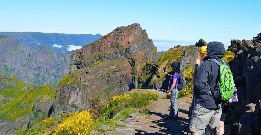 From Funchal: Madeira Peaks Mountain Walk - The heather forest near Pico Ruivo: nature that’s older than your plans
