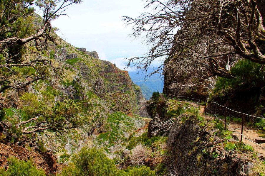From Funchal: Madeira Peaks Mountain Walk - What the walk actually feels like: steps, uneven ground, and cable rails