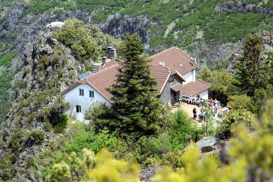 From Funchal: Madeira Peaks Mountain Walk - Springtime colors and plant spotting that makes the hike personal
