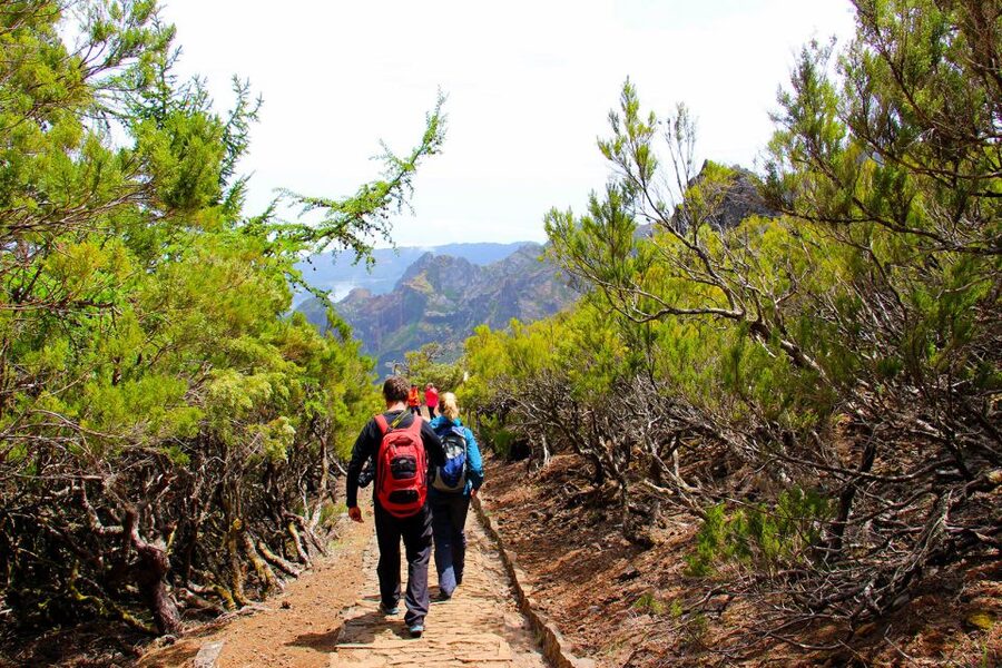 From Funchal: Madeira Peaks Mountain Walk - What to bring for an 8-hour mountain day (and why lunch is your job)