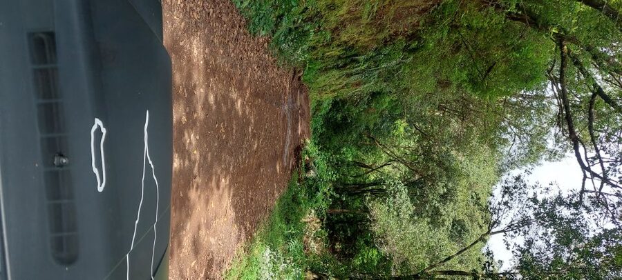 From Funchal: Pico Do Arieiro and Santana Full-Day 4x4 Tour - Pico do Arieiro at 1818m: your big view payoff
