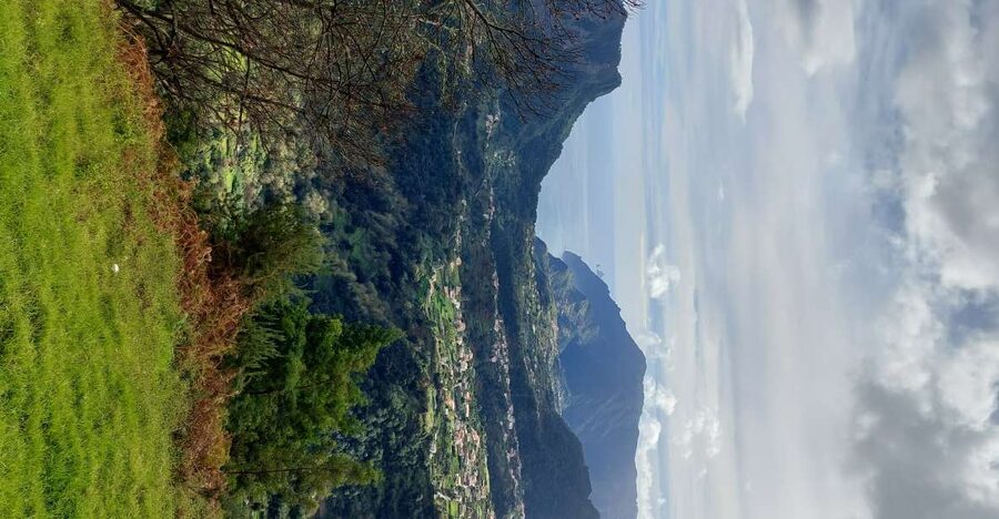 From Funchal: Pico Do Arieiro and Santana Full-Day 4x4 Tour - Down through Ribeiro Frio and Cruzinhas: Laurissilva forest UNESCO context