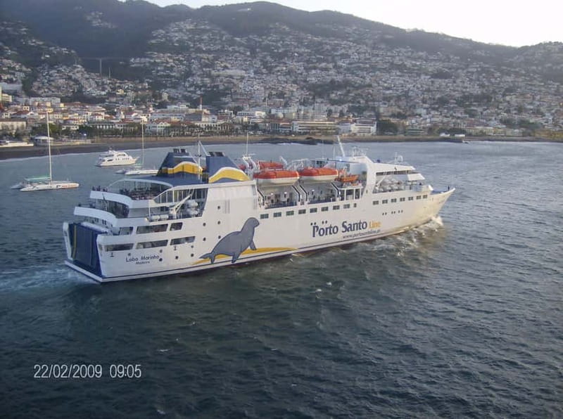 From Funchal: Porto Santo 1-Day Cruise and Tour - Key Things You’ll Notice on This Porto Santo Day Trip