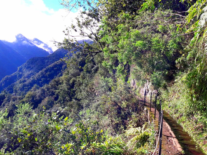 From Funchal: São Jorge Valleys Levada Walk - Key highlights you’ll care about