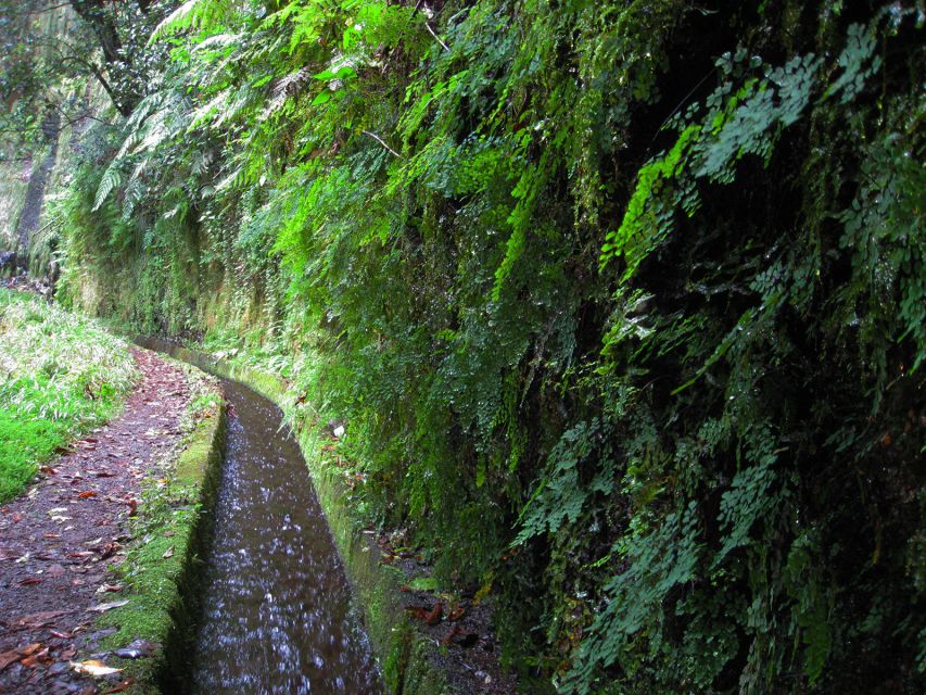 From Funchal: São Jorge Valleys Levada Walk - Who this São Jorge levada walk suits best