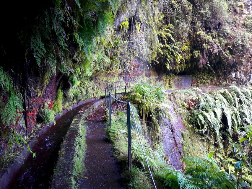 From Funchal: São Jorge Valleys Levada Walk - Waterfall moment: Bring the rain gear, even if the sky looks calm