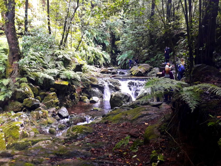 From Funchal: São Jorge Valleys Levada Walk - A practical walking rhythm: breaks, pace control, and your return route