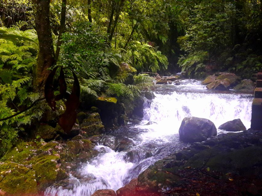 From Funchal: São Jorge Valleys Levada Walk - How tough is it, really? Footwear and the height anxiety factor