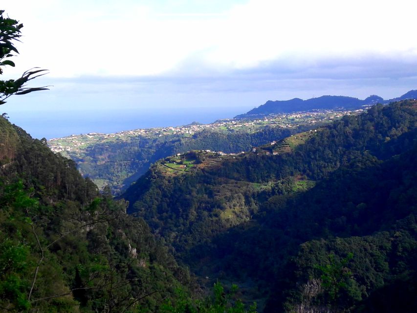 From Funchal: São Jorge Valleys Levada Walk - Price and value: Is $50 for 8 hours a good deal?