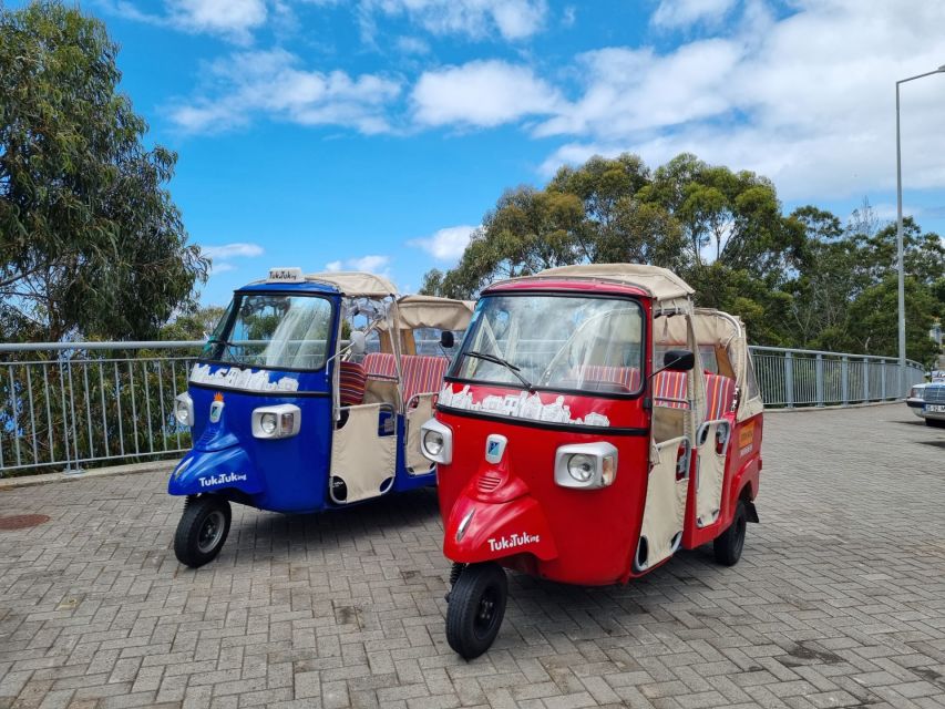From Funchal: Tuk Tuk Tour to Camara de Lobos and Cabo Girao - On the route to Cabo Girão: banana trees, vineyards, and your first taste of Madeira