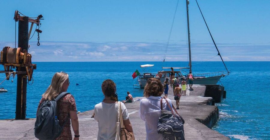 From Funchal: West Bays Sailing Tour with Lunch - The Wildlife Search: Dolphins, Whales, and Sea Turtles