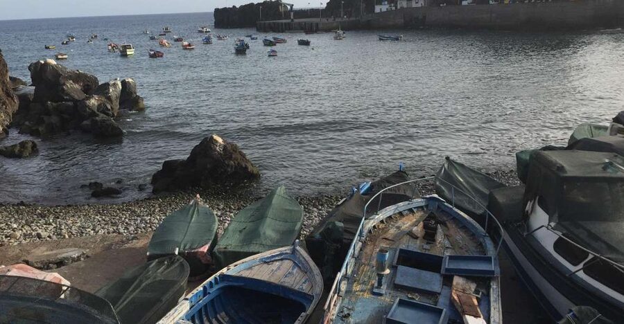 From Funchal: West Madeira and Laurel Forest Day Trip - Câmara de Lobos: Fishing Village Charm and Terraced Farming Views