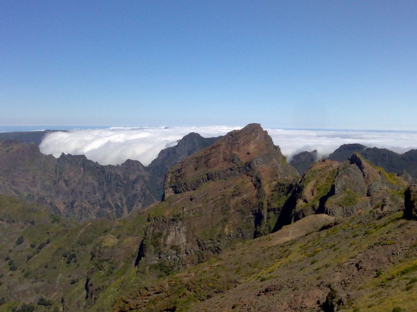 From Funchal: West Madeira Waterfalls and Fanal Forest Tour - Porto Moniz natural pools: where swimming feels worth the effort