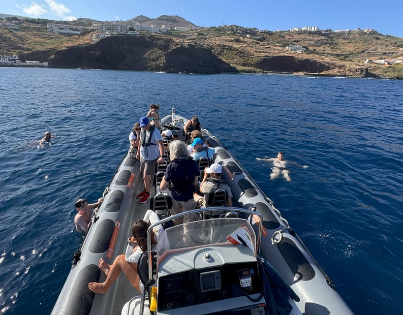 From Funchal: Whale and Dolphin Watching - Two Hours on the Water: The Dolphin and Whale Hunt Off Madeira