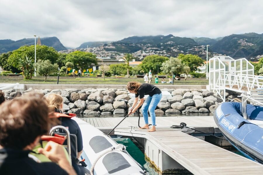 From Funchal: Whales and Dolphin Adventure Tour - Key highlights at a glance