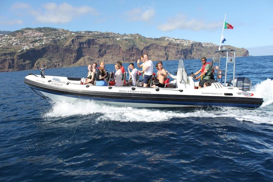 From Funchal: Whales and Dolphin Adventure Tour - Useful tips to maximize your odds on the water