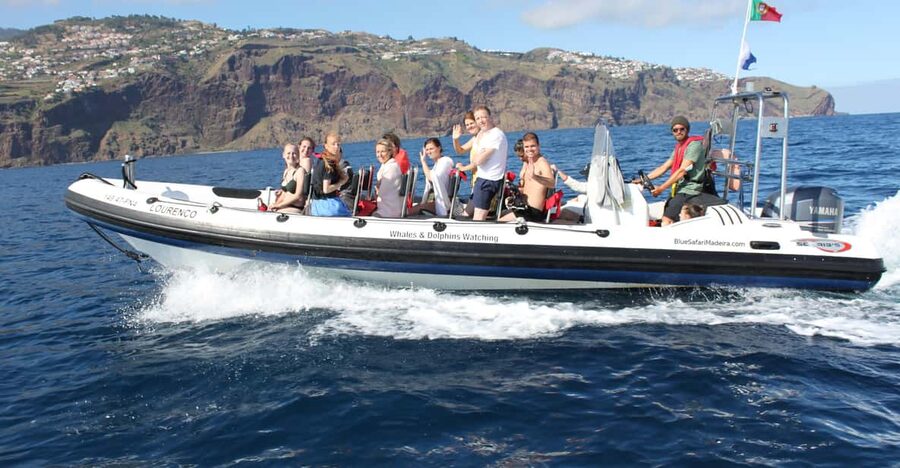 From Funchal: Whales and Dolphin Adventure Tour - The 2-hour cruise: how the ride actually works on Madeira time