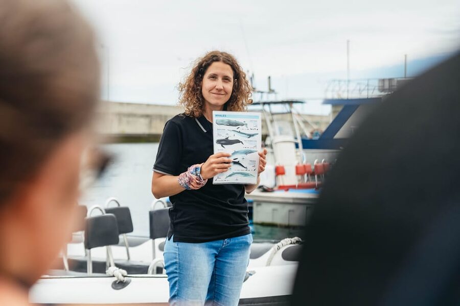From Funchal: Whales and Dolphin Adventure Tour - The dolphin swim option: when you can enter the water and what to expect