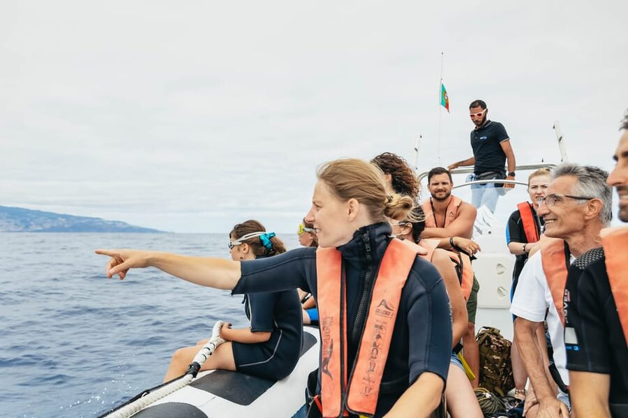 From Funchal: Whales and Dolphin Adventure Tour - Snorkeling gear and what to bring (so you don’t regret it)