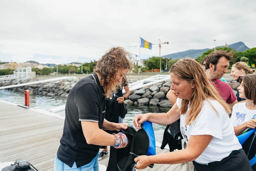 From Funchal: Whales and Dolphin Adventure Tour - Price and value: is $58 a fair deal in Madeira?