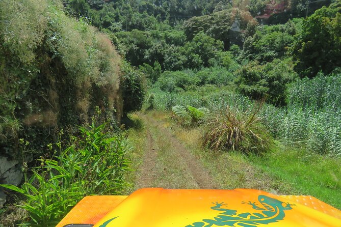 Full Day Guided Tour to The Charms of Northeast Madeira - São Jorge parish: terraces, agriculture, and classic village scenes