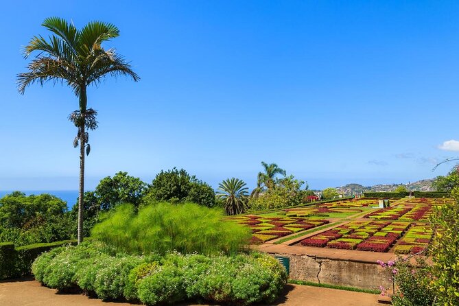 Full Day Madeira Island Private Discovery by Tuk Tuk - Key highlights worth planning around
