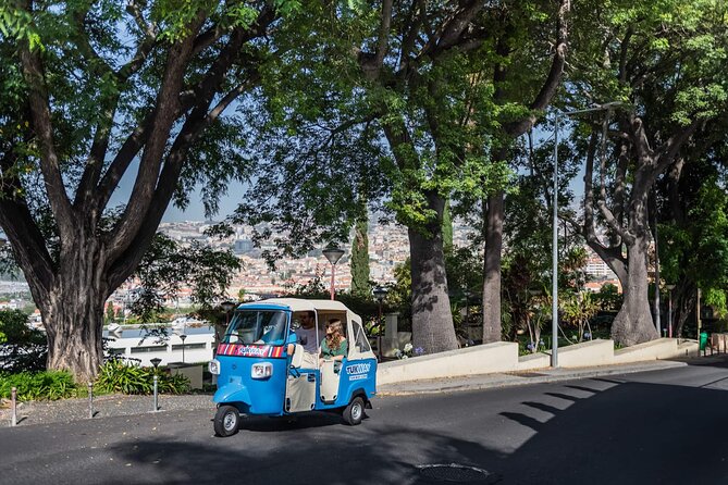 Full Day Madeira Island Private Discovery by Tuk Tuk - Price and value: when $232.71 per group makes sense