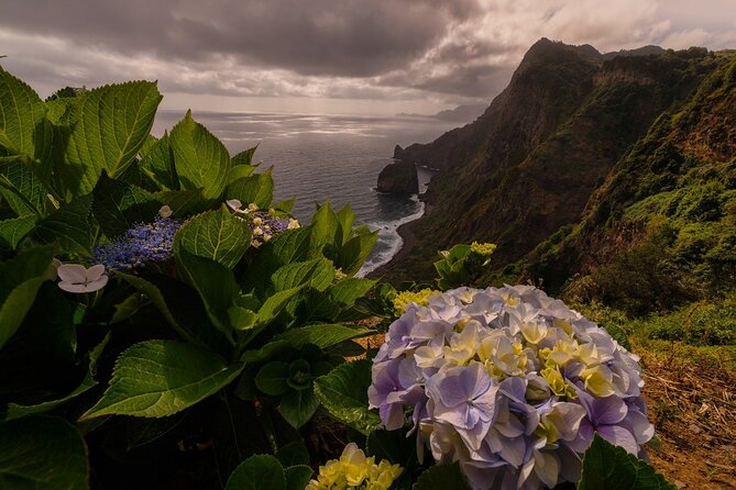 Full Day Madeira Island Tour - Open Roof - Seixal and Véu da Noiva: a quick waterfall break that works