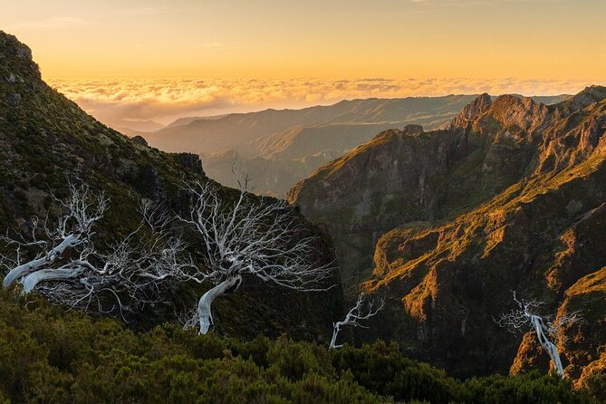 Full Day Madeira Island Tour - Open Roof - Ribeira da Janela viewpoint: mountains meeting clear ocean colors