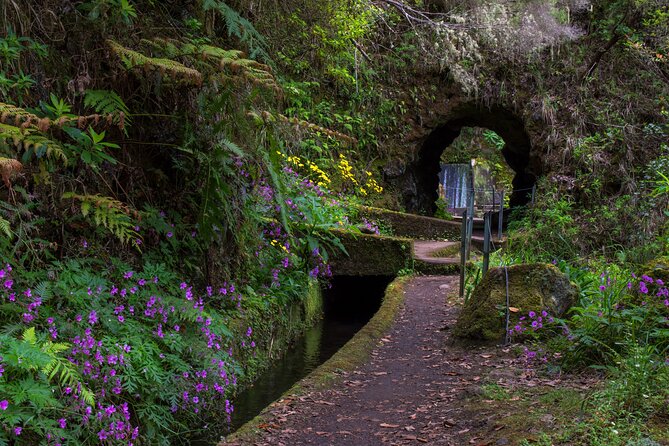 Full Day of Wonders: Madeira 4x4 Private Tour - Food and drinks: how to plan lunch without derailing the day
