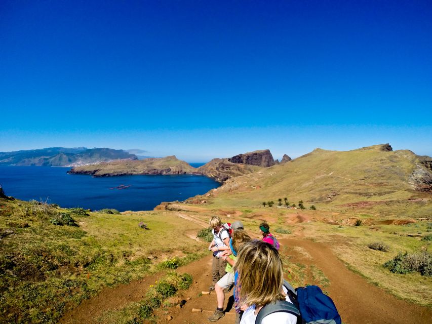 Full Day Ponta de São Lourenço - Natural Reserve - Nature highlights you can actually spot: seabirds and hardy plants