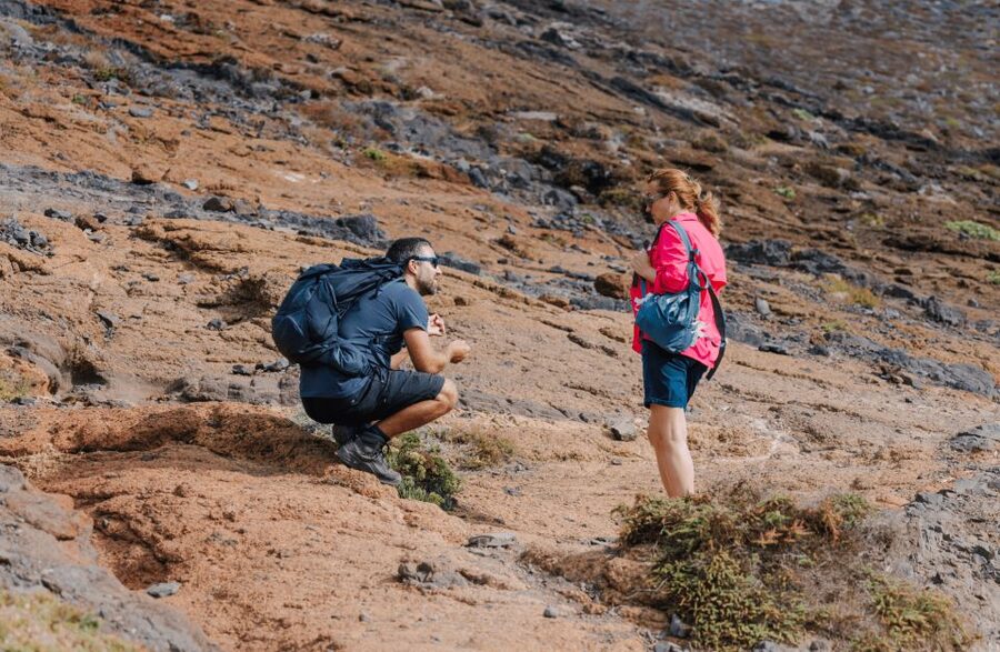 Full Day Ponta de São Lourenço - Natural Reserve - What’s included, and why it’s good value at about $54