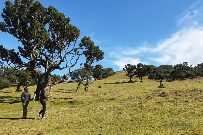 Full Day Private 4x4 Tour in West Madeira with Local Guide - Guides and pacing: the part that makes it feel worth it