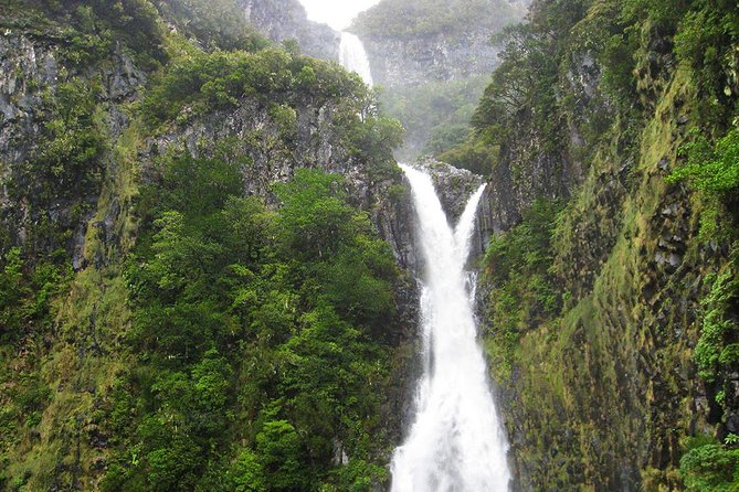 Full-Day Rabaçal Levada Walk from Funchal - The big picture: what this Madeira levada day is really like