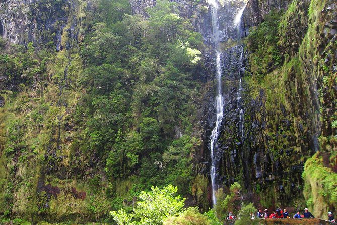 Full-Day Rabaçal Levada Walk from Funchal - Getting to Rabaçal: the morning drive from Funchal