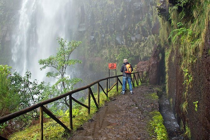 Full-Day Rabaçal Levada Walk from Funchal - The return route: water-tunnel return and what to expect on the way back