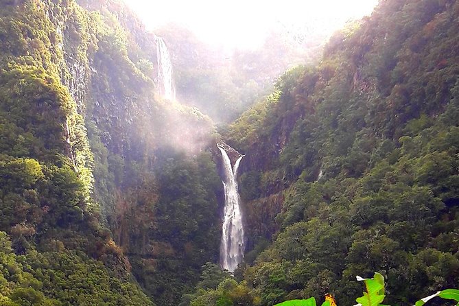 Full-Day Rabaçal Levada Walk from Funchal - Stop 2: Levada das 25 Fontes and the springs into a small lake