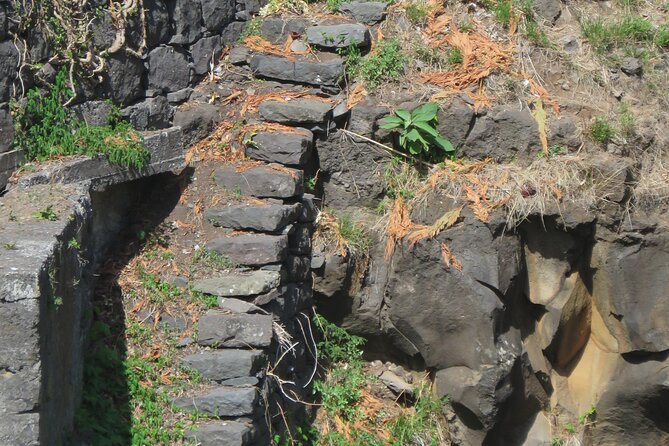 Full Day Tour in 4x4 Jeep to Porto Moniz and Fanal - Ribeira da Janela: Cliffs, Sea Views, and Pebble Beach Time