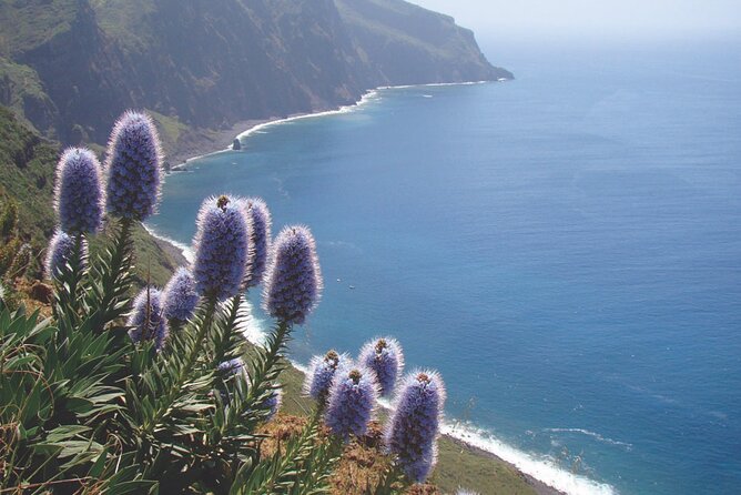 Full Day Tour of the West Zone of Madeira - Cascata dos Anjos: a short waterfall pause for photos