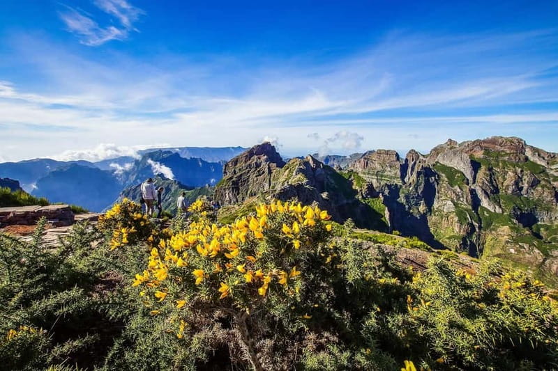 Funchal: 4x4 Jeep Trip to the East and Northeast of Madeira - The East and Northeast loop that feels more local than typical Madeira tours