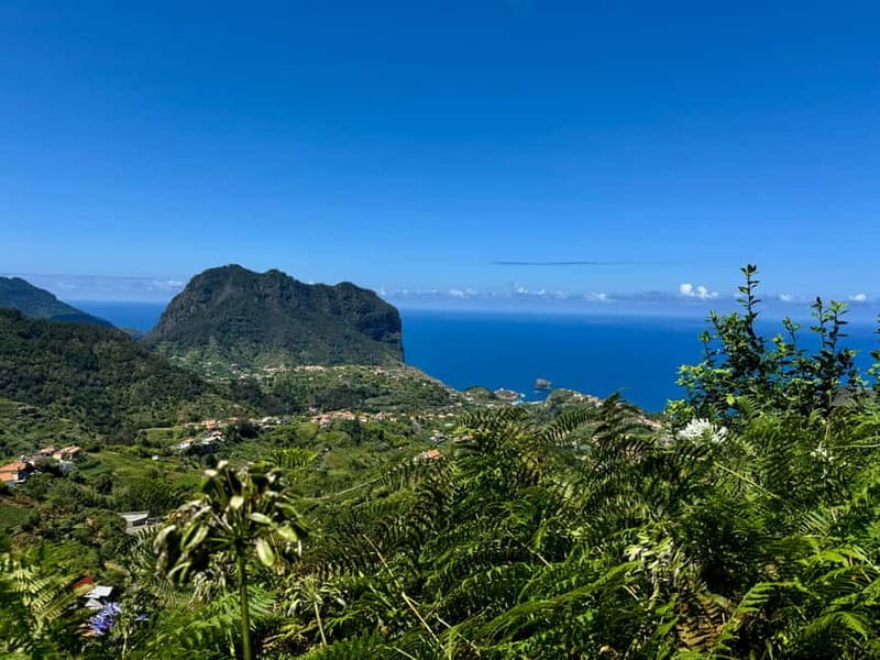 Funchal: 4x4 Jeep Trip to the East and Northeast of Madeira - Pickup in Funchal: convenient start, small-group comfort