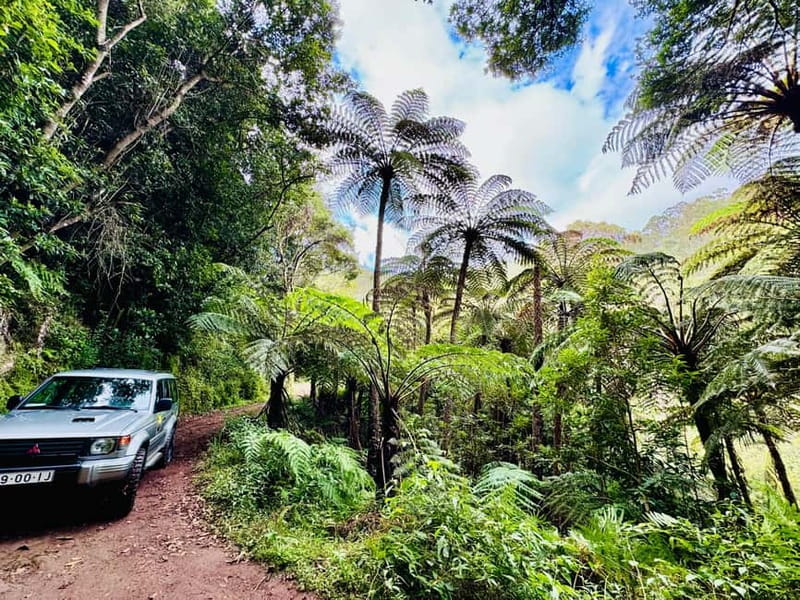 Funchal: 4x4 Jeep Trip to the East and Northeast of Madeira - Nuns Valley and Pico do Arieiro: big height, big payoff (but timing matters)