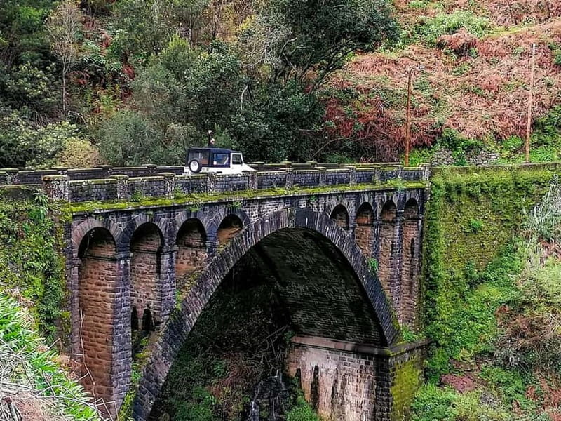 Funchal: 4x4 Jeep Trip to the East and Northeast of Madeira - Ribeiro Frio and the levada walk option: when nature time is the highlight