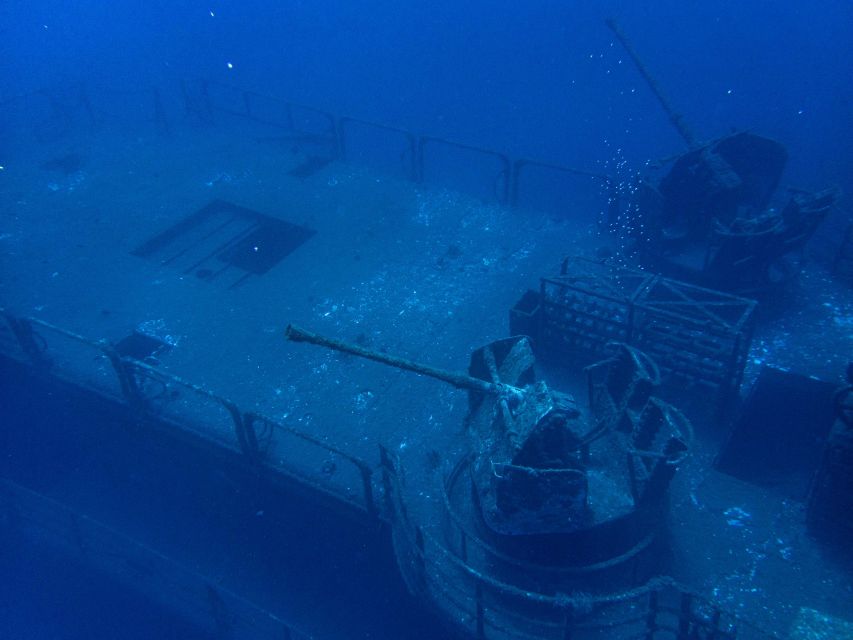 Funchal: Advanced Scuba Diving Afonso Cerqueira Wreck - Marine life on a protected reef: what you’re paying for