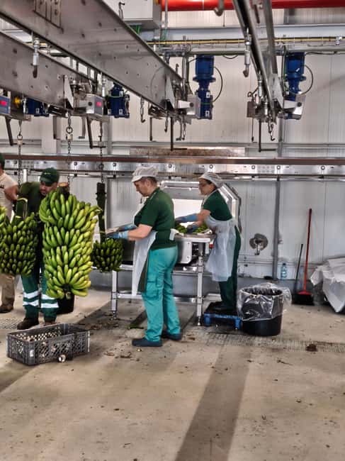 Funchal Agriculture Green Tour - Countryside drive and rural lunch in Madeira home-style form
