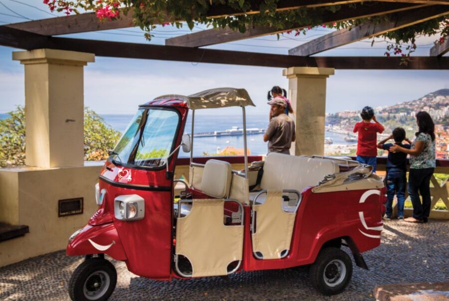 Funchal at Night Private Tour by Tuk Tuk - Hotel Pickup in Funchal (and the One Thing Cruise Passengers Should Know)