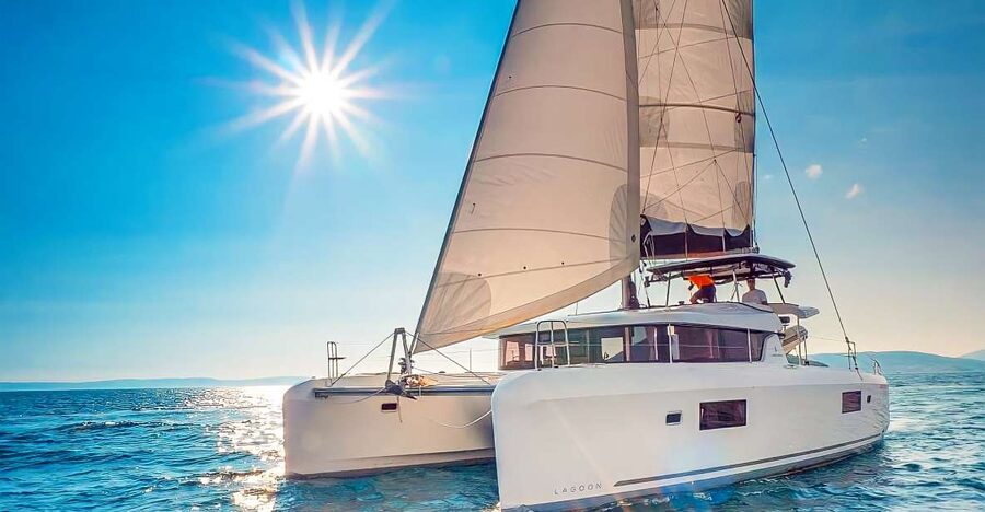 Funchal Bay: Dolphin & Whale Watch Luxury Catamaran Cruise - The Open-Sea Search for Dolphins and Whales