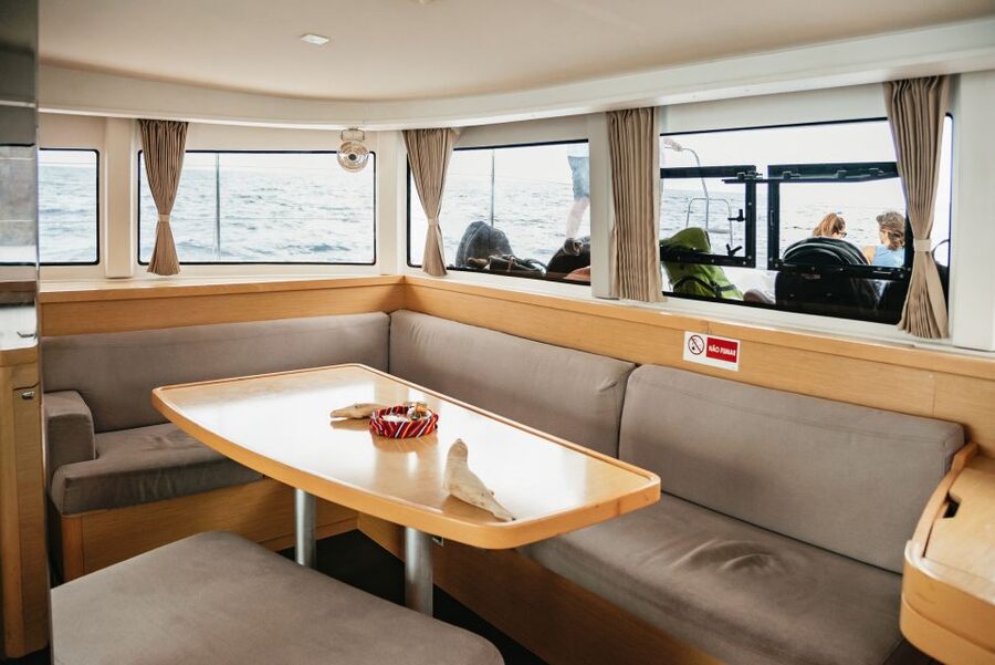 Funchal Bay: Dolphin & Whale Watch Luxury Catamaran Cruise - Practical Tips: How to Improve Your Chances and Enjoy the Ride