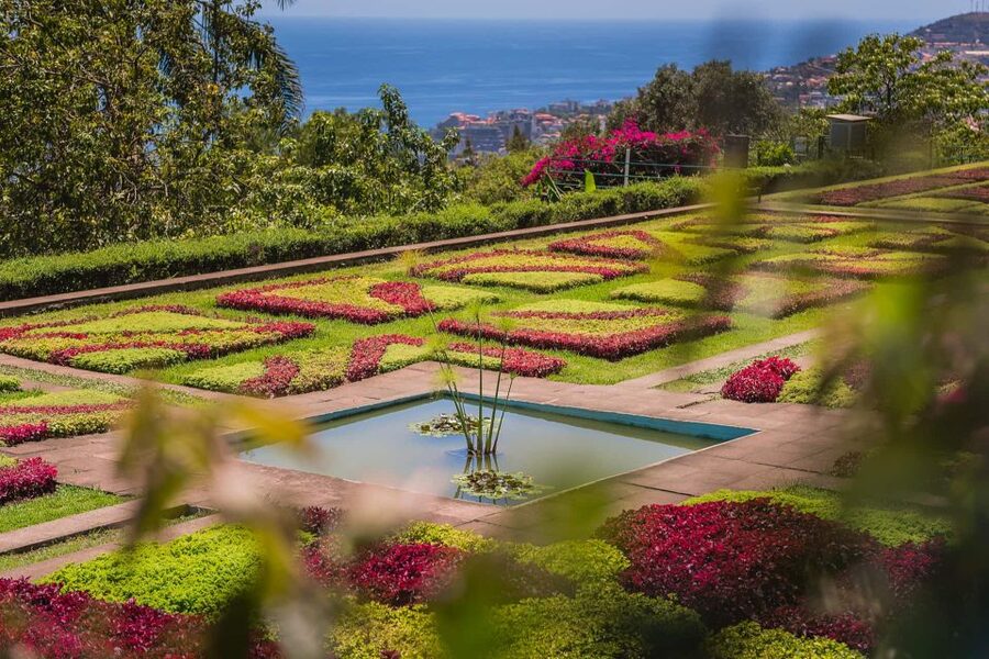 Funchal: Botanical Garden and Old Town Private Tuk-Tuk Tour - Key highlights I’d prioritize