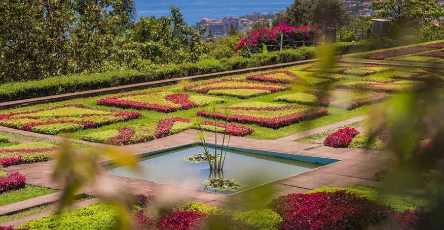 Funchal: Botanical Garden and Old Town Private Tuk-Tuk Tour - Zona Velha looks different from a tuk-tuk